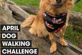 Join the pack: Warwickshire dog owners are being urged to walk 60 miles with their four-legged friends over the course of April to raise money for Stand Up To Cancer’s life-saving research. Sign up now at su2c.org.uk/walkies