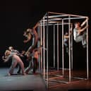 Hidden by Motionhouse. Image by Dan Tucker.