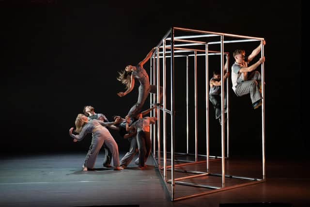 Hidden by Motionhouse. Image by Dan Tucker.