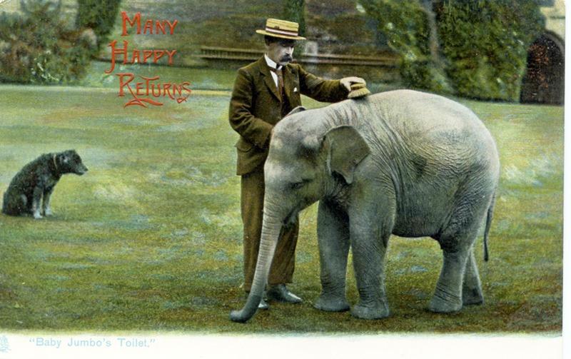 Samuel Lockhart was a famous Victorian elephant trainer.  Leamington havs various dedications to his most famous group of elephants The Three Graces - Wilhelmina and two younger elephants, Trilby and Haddie.