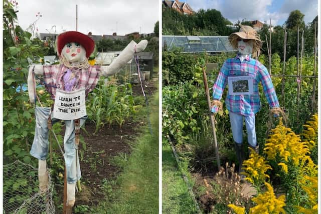 The Kenilworth Allotment Tenants Association has three sites and the Odibourne site, in Manor Road, will be hosting the open day on August 20. One of the popular attractions of the annual open day are the scarecrows. Photo supplied