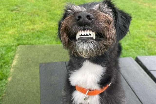 Smiling Paolo.