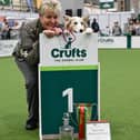 Mary Ray and Lyric, Obedience Championship. Credit David Midgley and The Kennel Club.