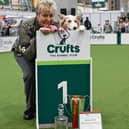 Mary Ray and Lyric, Obedience Championship. Credit David Midgley and The Kennel Club.