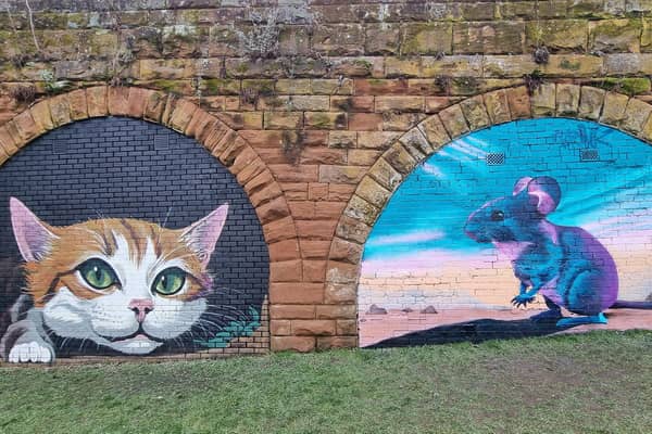 The stunning new Cat and Mouse murals at the pocket park in Glendale Avenue in Kenilworth. The murals were created by Brink Contemporary Arts on behalf of Warwick District Council. Credit: Tim Robottom.