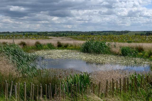 Situated on the outskirts of Cubbington, this is one of the many wildlife-rich habitats already created in Warwickshire by HS2 ©HS2 Ltd