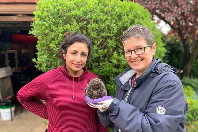 Parm Asberg Gill with Sally Ellis, carer and co-ordinator with Warwickshire Hedgehog Rescue. Picture supplied.