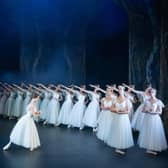 'This was my daughter’s first visit to the ballet and my first watching Giselle, so we were both captivated by the simply told story' (photo: Ivan Karnaukhov)