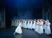 'This was my daughter’s first visit to the ballet and my first watching Giselle, so we were both captivated by the simply told story' (photo: Ivan Karnaukhov)