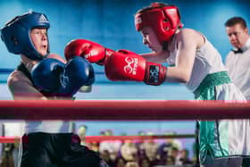 Boxing action from the Cleary's event