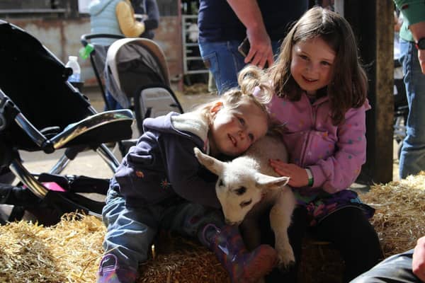 Charlotte and Alana cuddling a lamb