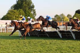 Prince Imperial leads at the last hurdle, but Mammies Boy (right) gets up to win by a neck (photo by David Pratt)