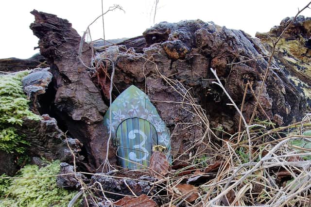10 pixie doors have magically appeared across the park. Photo supplied