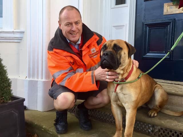 Leamington postman Steve Malin pictured in 2019 with Peggy the bullmastiff - who he found after she went missing from her home in Kenilworth Road.
