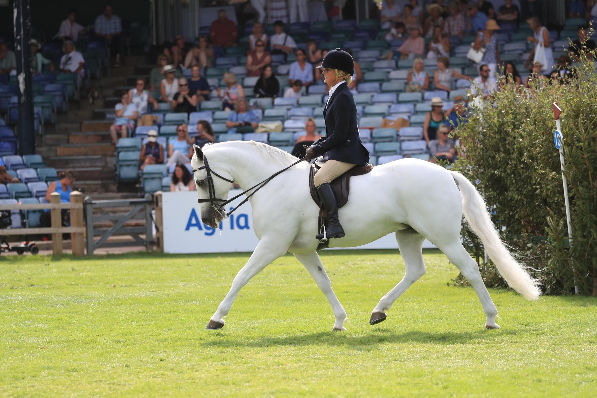 Warwickshire riders are hoping to shine at Horse of the Year Show ...