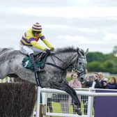Warwick Racecourse will host 19 jump meets this season.