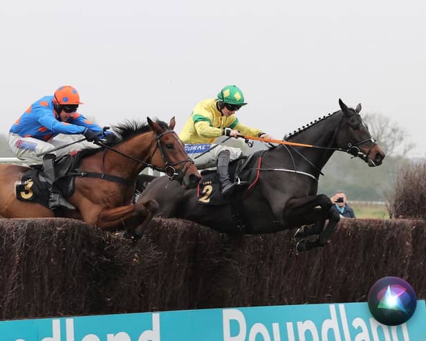 Seven races in store for racegoers at Warwick's new year's eve party meeting (photo David Pratt)