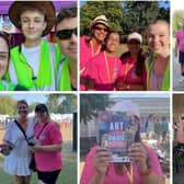 Help out at this year's Art in the Park Festival
