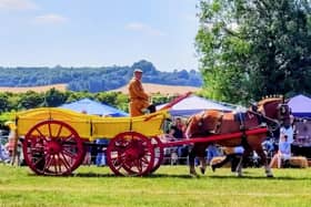 This year's show will raise money for Banbury charity Dogs For Good as well as national charity Tommy's.