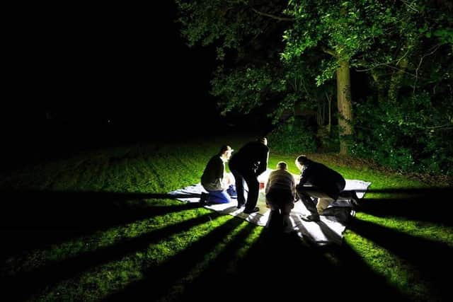 Rangers at Ryton Pools Country Park have found presence of the Dusky Clearwing Moth, a species once believed to be extinct in Britain. Next month visitors to Ryton Pools can join the rangers for the annual Moth Night. Photo shows a previous moth night. Photo supplied by Warwickshire County Council