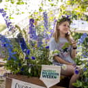 Great Big Green Week is taking place from Saturday 7 June to Saturday 15 June 2025.