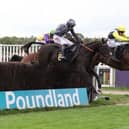 More Warwick jumps action to come in December (photo by David Pratt)