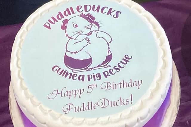 The cake to celebrate the fifth anniversary of the PuddleDucks guinea pig rescue centre opening in Leamington. Picture submitted.