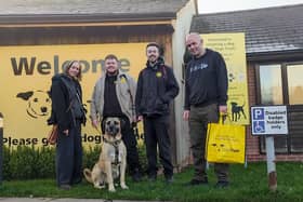 Saigon's Happy Rehoming