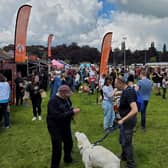 The festival returned to the town last weekend but at the new venue of St Nicholas Park.