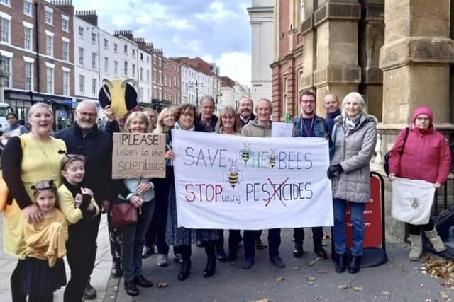 Sara Lever, of the Bee Friendly community group, many members of which were sat in the public gallery, spoke at the Leamington Town Hall meeting on October 19 after handing over the petition signed by 1,145 people. Photo supplied