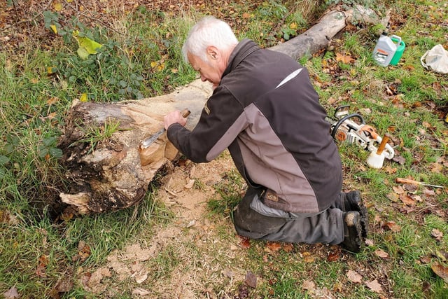 Woodcarver Graham Jones returned to Priory Park to make another sculpture out of deadwood. Photo by Geoff Ousbey