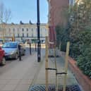 Trees in Priory Terrace next to the Royal Mail distribution centre and All Saints Parish Church - planted by The Leamington Society