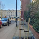Trees in Priory Terrace next to the Royal Mail distribution centre and All Saints Parish Church - planted by The Leamington Society