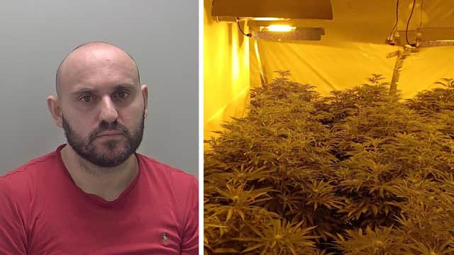Tonin Pashollari was arrested inside a semi-detached house which had been turned into a cannabis farm.