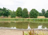 Abbey Fields Lake in Kenilworth. Photo by Mike Baker