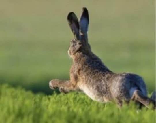 Three men caught hare-coursing in the Rugby borough are the first people to convicted under new laws to tackle the crime.
