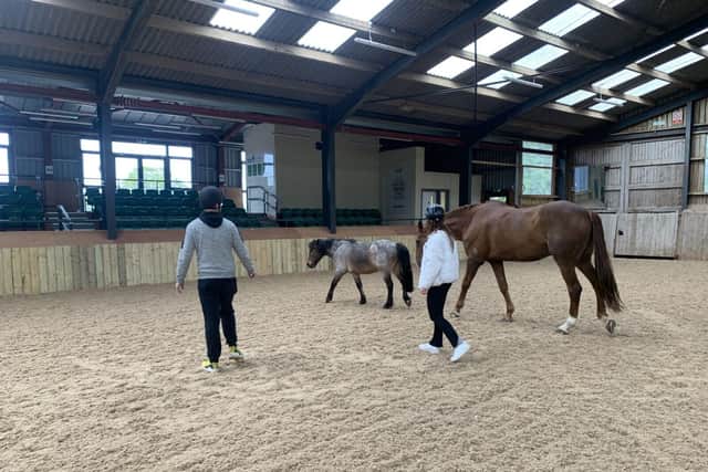 Equine therapy session run through Derventio Housing Trust
