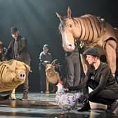 The Cast of Animal Farm (photo: Manuel Harlan)