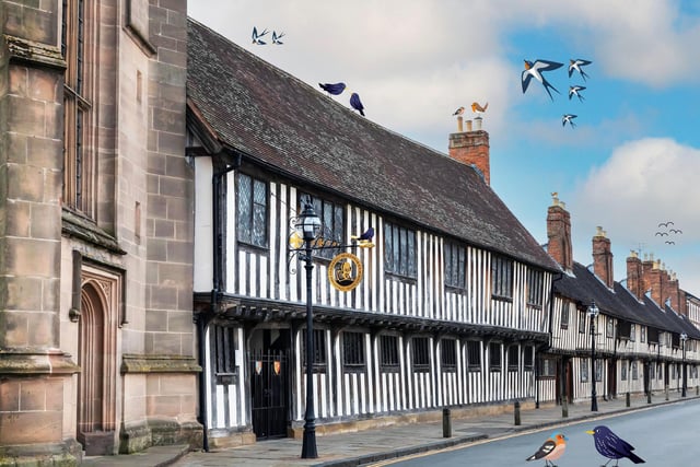 Embark on a bird-watching adventure
Swooping into Shakespeare’s Schoolroom & Guildhall is a bird watching adventure and a bird crafting activity.  Both will take place from Saturday 10 February to Sunday 25 February as part of the award-winning attraction’s family-friendly fun.  Eagle-eyed visitors will be challenged to help Twitch and his friends to find some missing bird exhibits as part of the Twitchers Museum Adventure organised by Kids in Museums and Walker Books.  And inspired by the robins, blackbirds and nightingales that Shakespeare wrote about, visitors can decorate their own wooden bird, with a variety of colourful materials to choose from.   
Shakespeare’s Schoolroom & Guildhall is open daily from 11am to 5pm. Entry tickets are adult £12.50; concession £11; child (5-16) £8; family (2 adults and 2 children) £34; additional child with family ticket £6; under 5s free. For further information or to book tickets visit shakespearesschoolroom.org