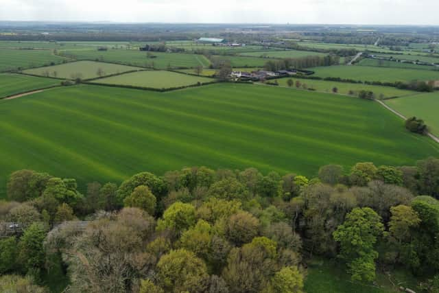 The site of the proposed quarry