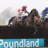 Well Dick (right) leads Bretney over the last fence in the Volcano Handicap Chase