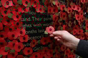 A person holds a poppy as they look at a wall made of 10,000 remembrance poppies following the RBL's Poppy Appeal 2022 (photo: Getty Images)