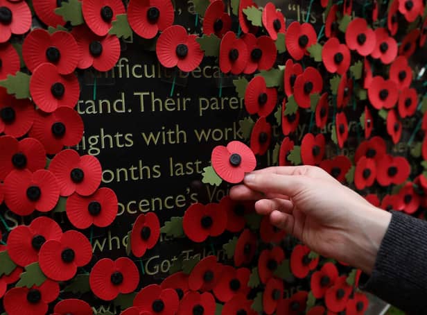 A person holds a poppy as they look at a wall made of 10,000 remembrance poppies following the RBL's Poppy Appeal 2022 (photo: Getty Images)