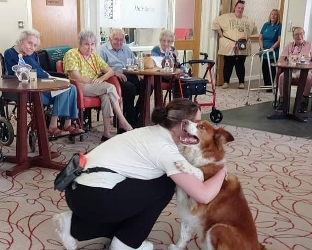 Leycester House dog show contestants