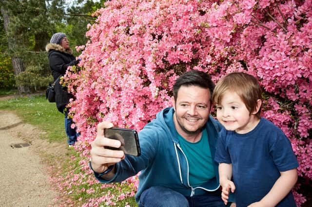 Celebrate the blossom season with CEWE