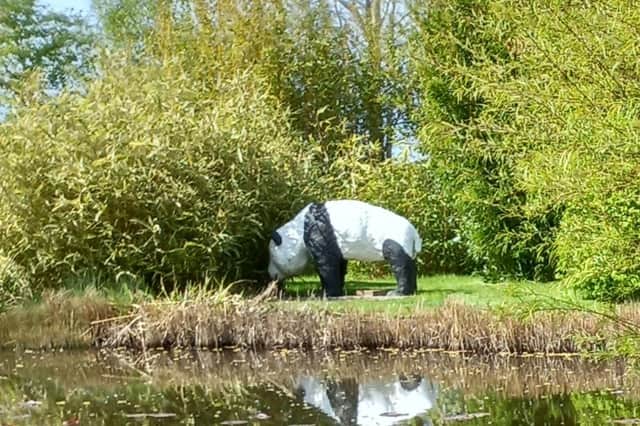 Christine Dakin's Garden in Napton.