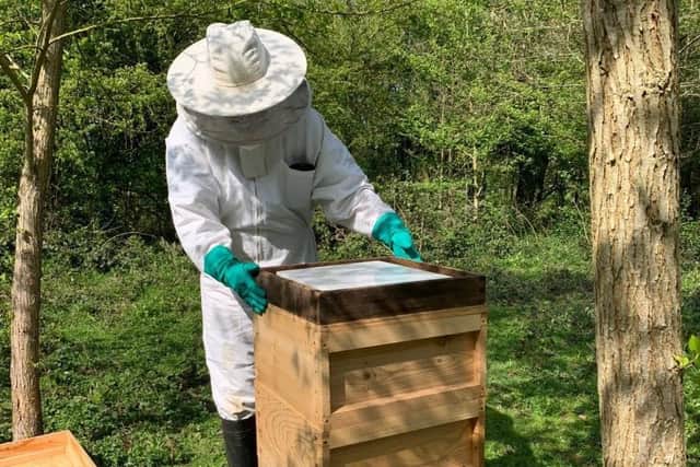 Warwickshire County Council has a long-term focus on supporting bee populations at Ryton Pools Country Park. Photo supplied by Warwickshire County Council