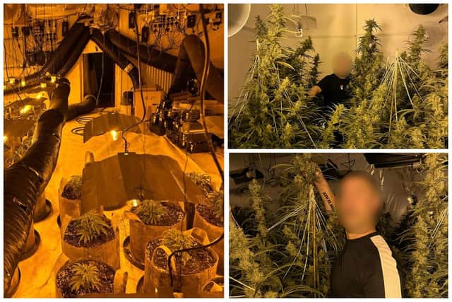 Two cannabis farms have been discovered on the same day in Warwick and Leamington.