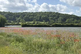 The escarpment on which the legendary red horse was cut centuries ago
