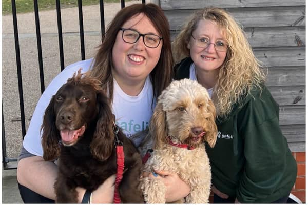 Alex Pearson and her dogs Archie and Chester with Rachel Stevens, development coordinator at Safeline. Photo supplied